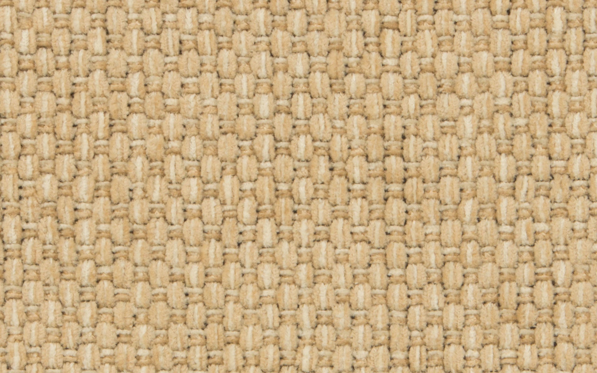 HAMPTON CHENILLE :: Cashew