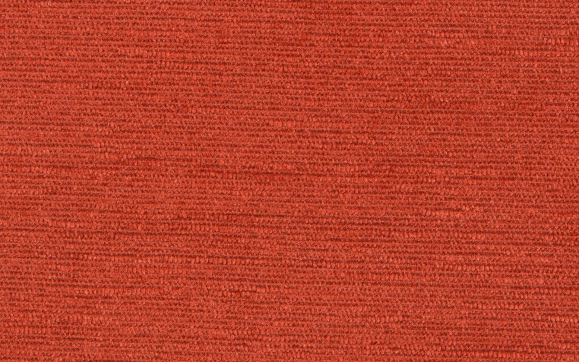 ISLAND MICRO CHENILLE :: Persimmon