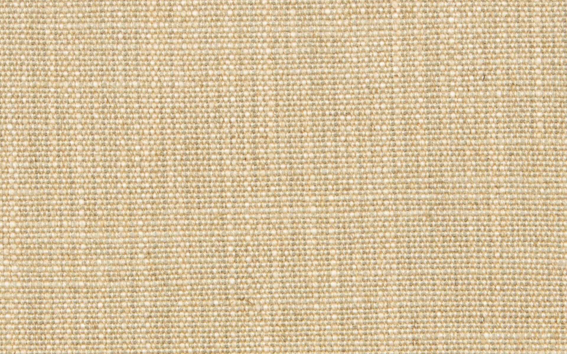 MALIBU :: Dune