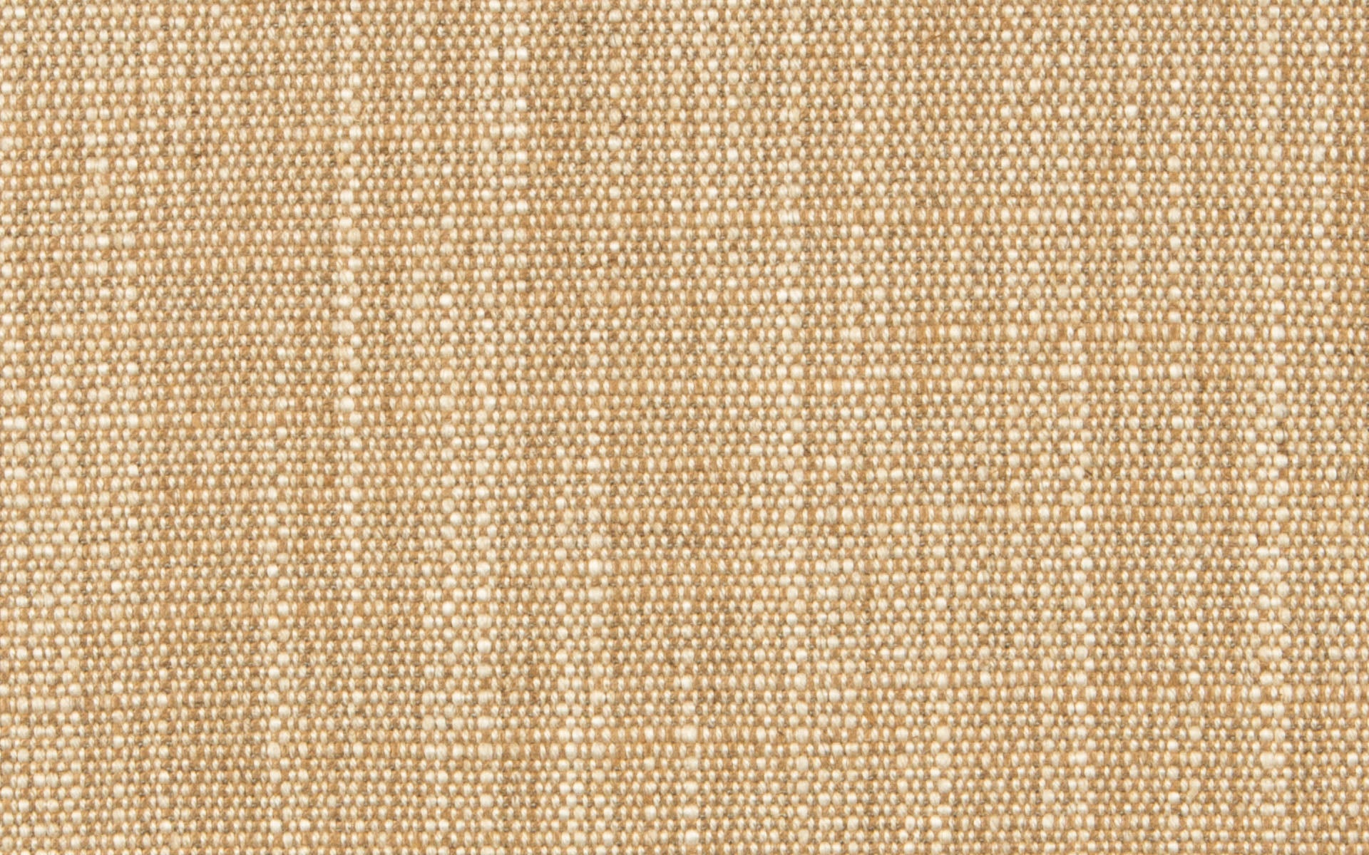 MALIBU :: Reed