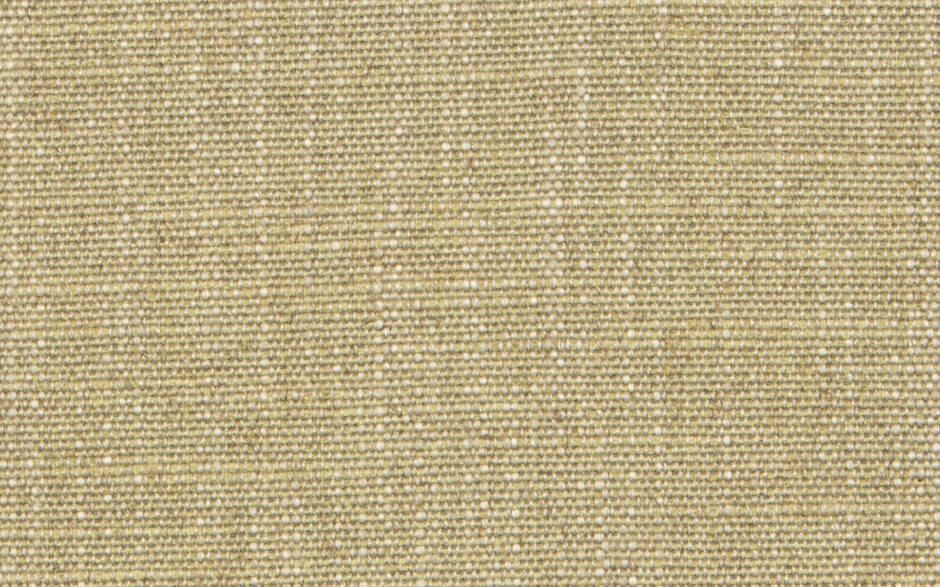 MALIBU :: Seagrass