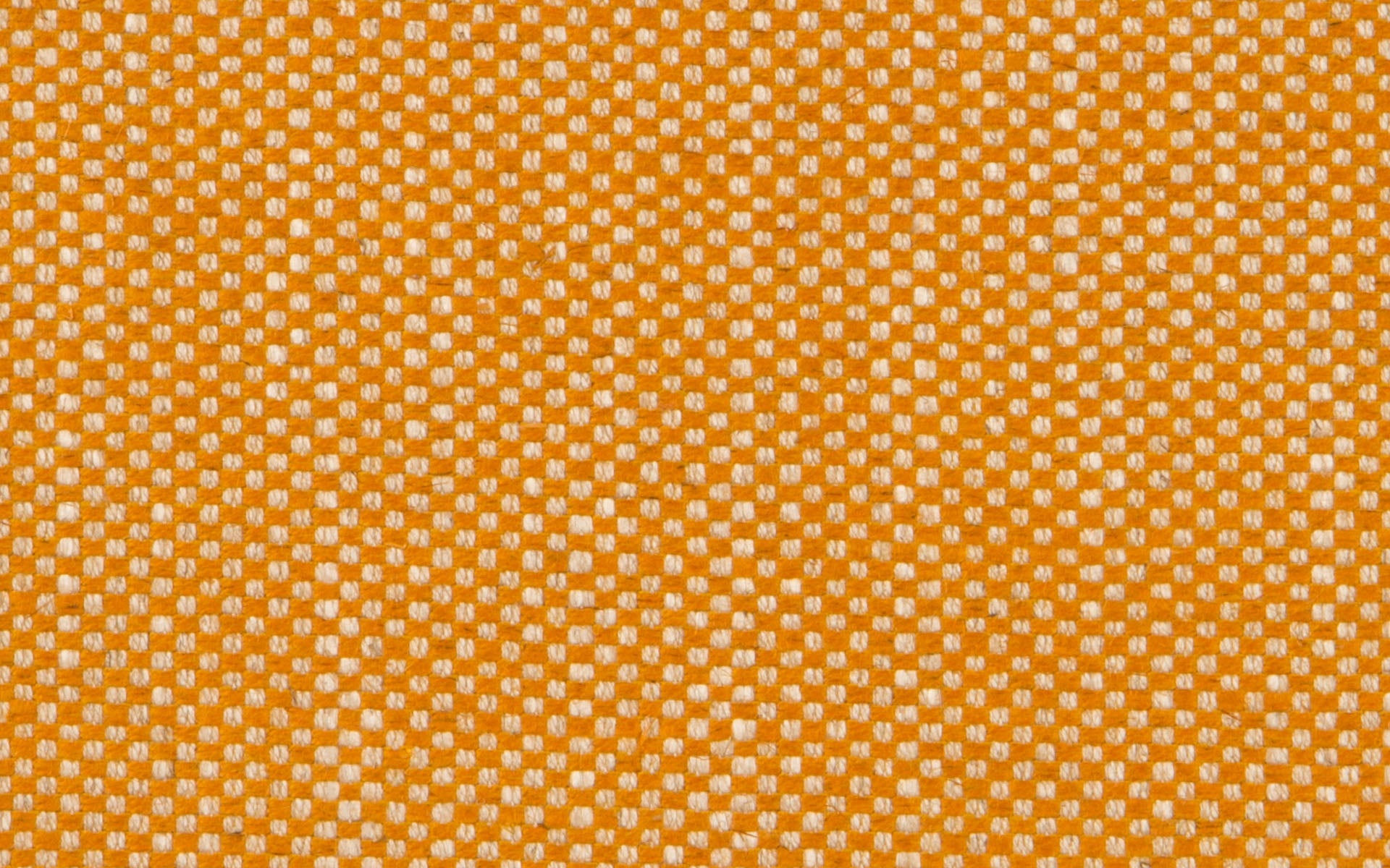 PALM BEACH :: Apricot