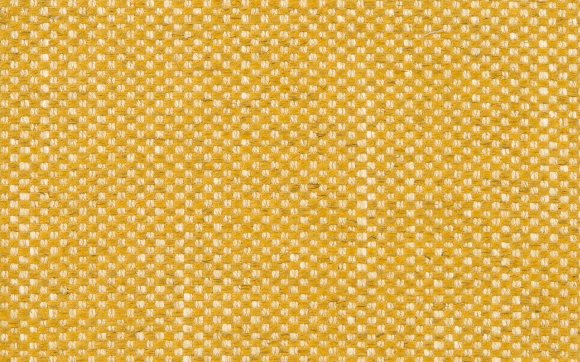 PALM BEACH :: Citron