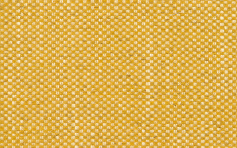 PALM BEACH :: Apricot