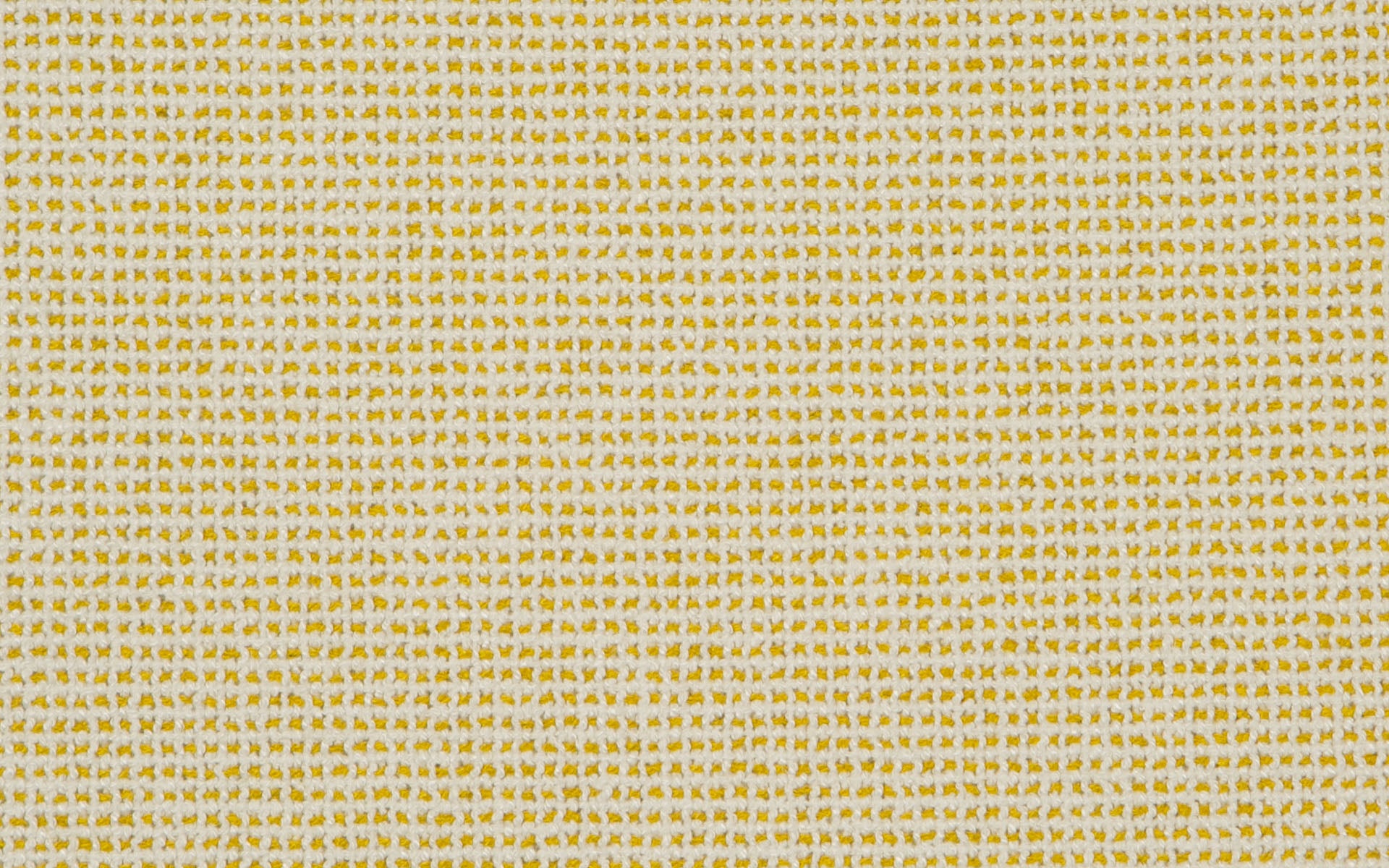 PALM BEACH GRID :: Citron