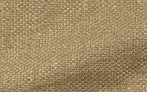 PALM BEACH :: Apricot