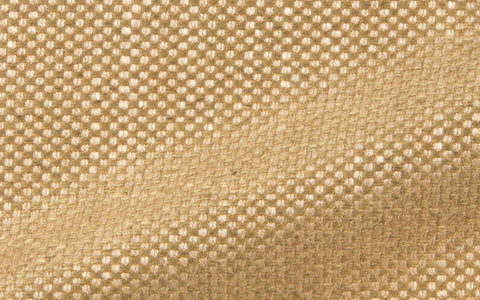 PALM BEACH :: Apricot