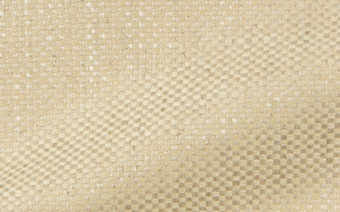 PALM BEACH :: Apricot