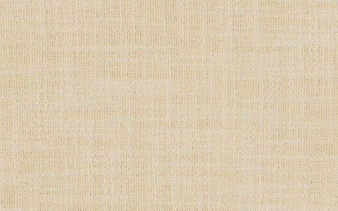 IL DONIZETTI :: Crema