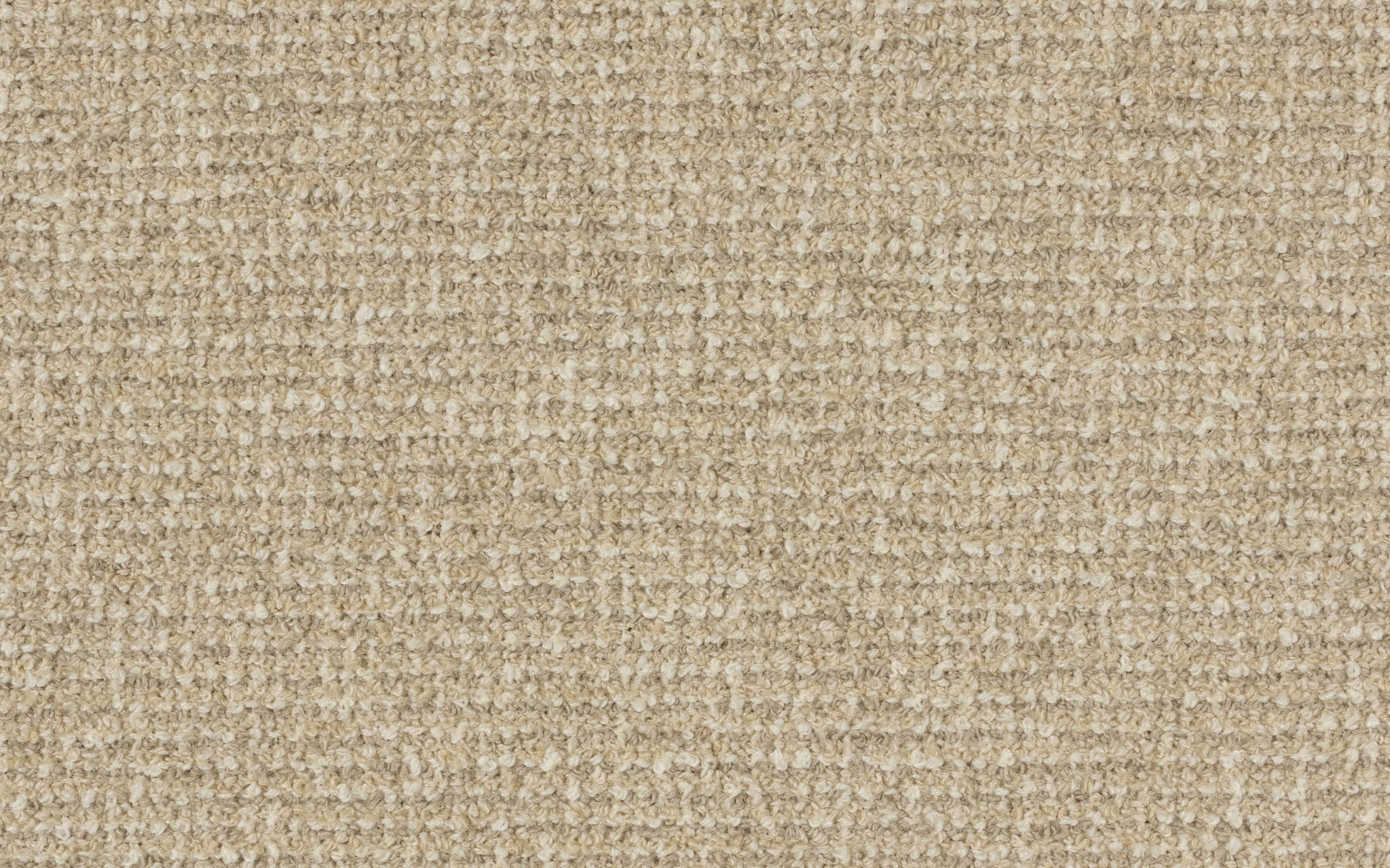 SAN VIGILIO :: Barley