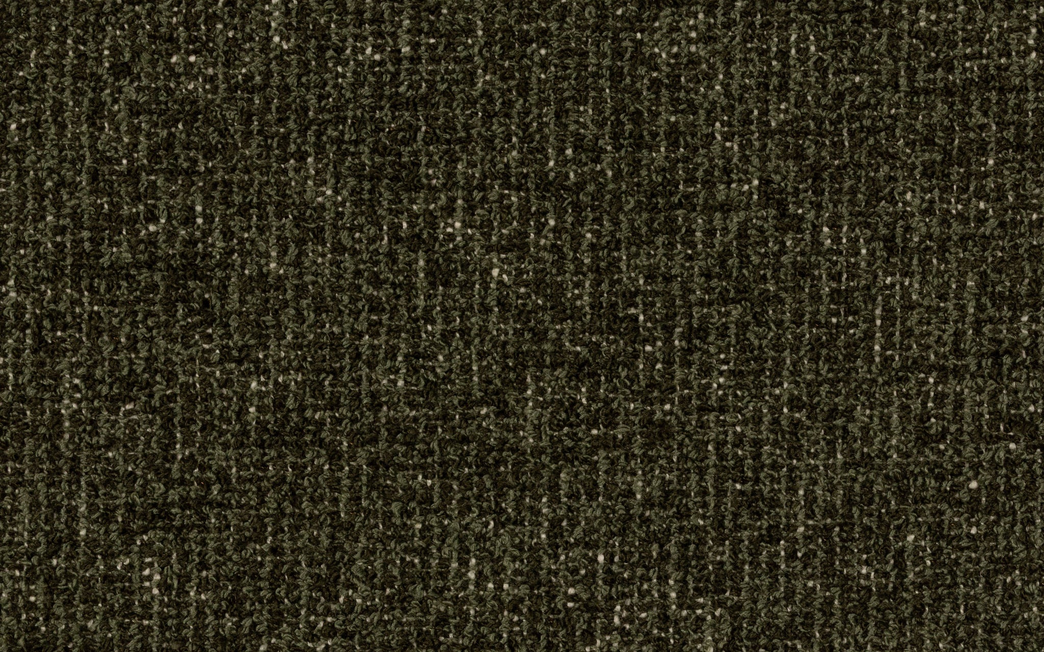 SAN VIGILIO :: Juniper