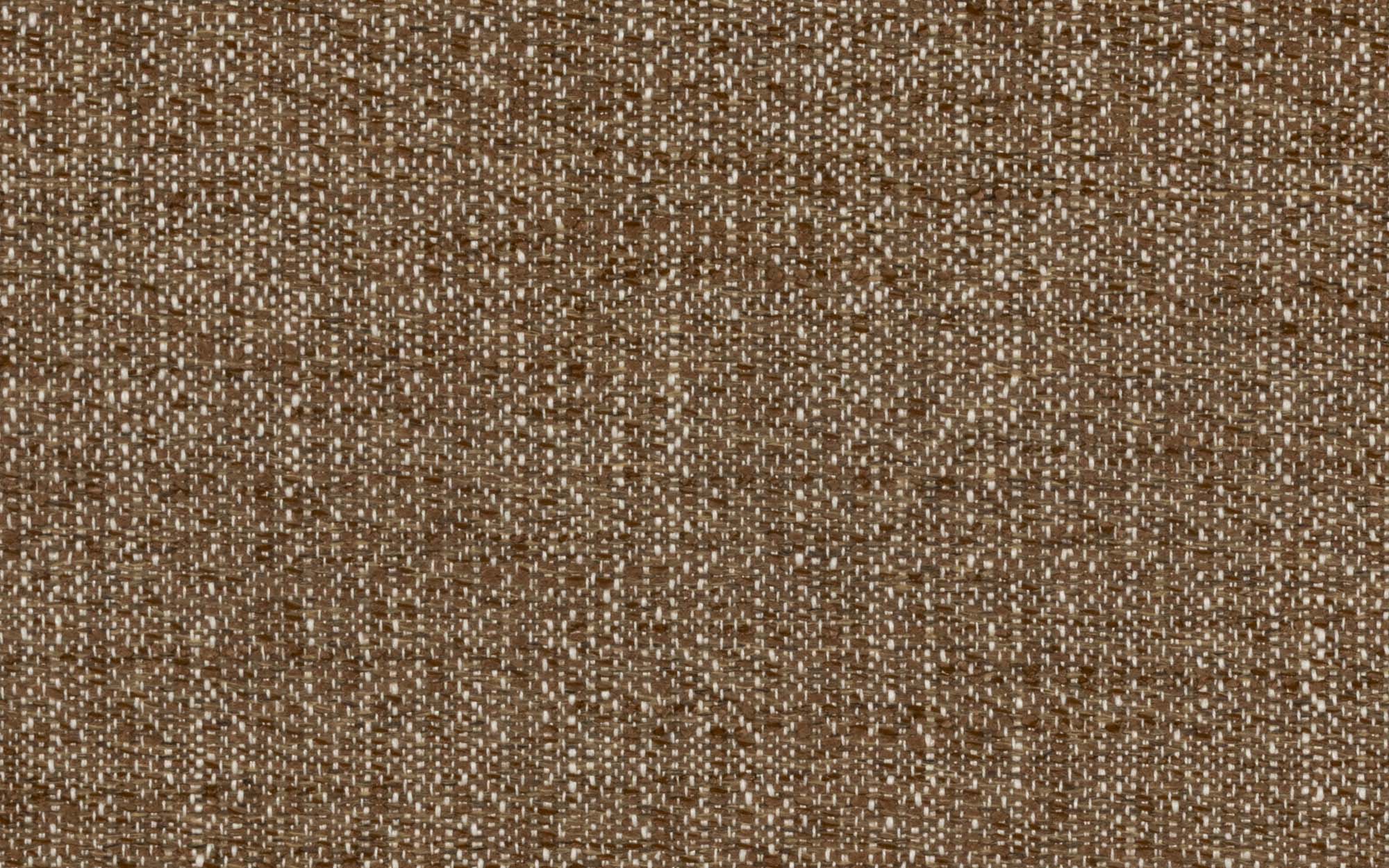 CASCADIA AVENUE :: Bark