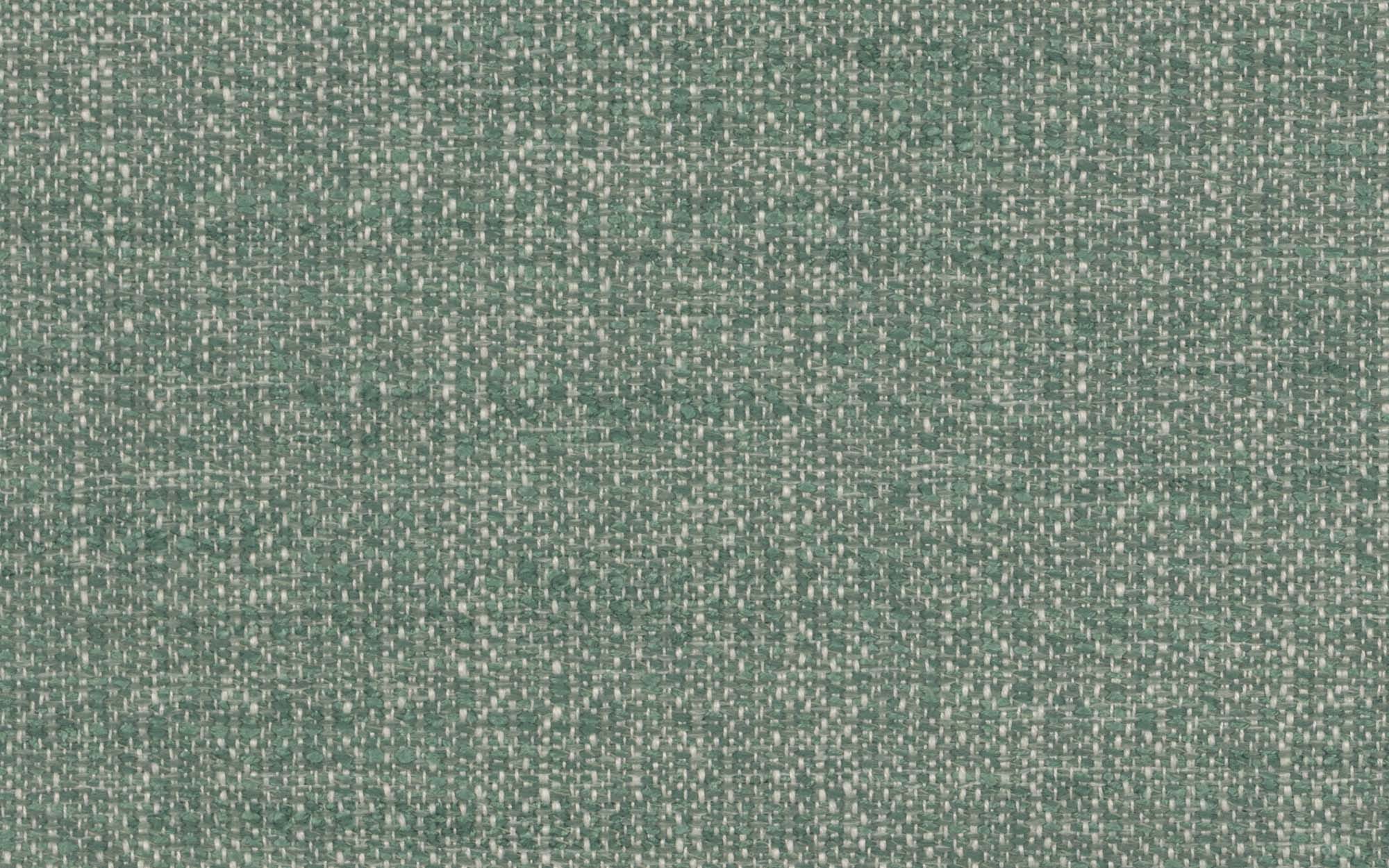 CASCADIA AVENUE :: Blue Spruce