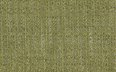 CASCADIA AVENUE :: Madrona