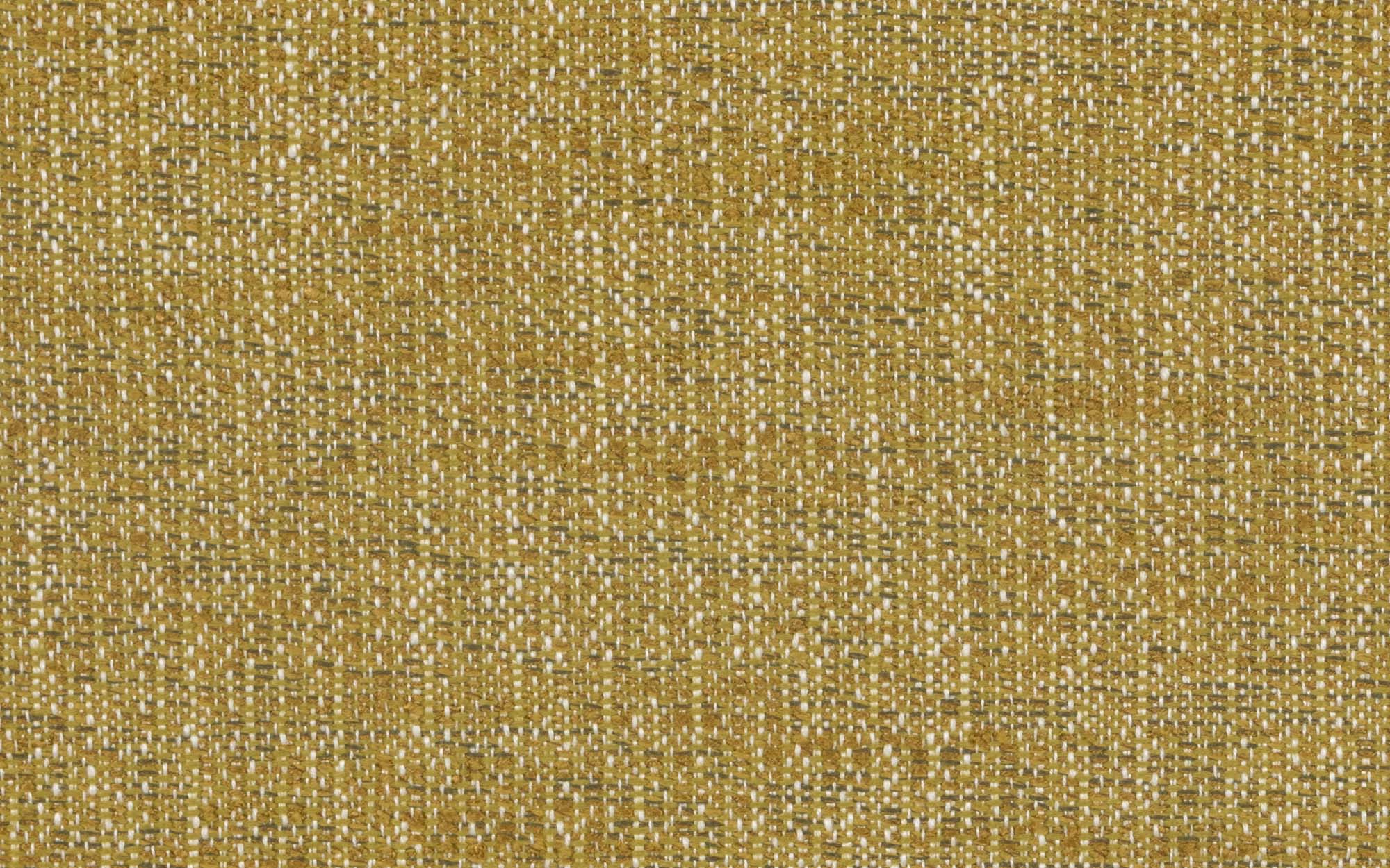 CASCADIA AVENUE :: Moss
