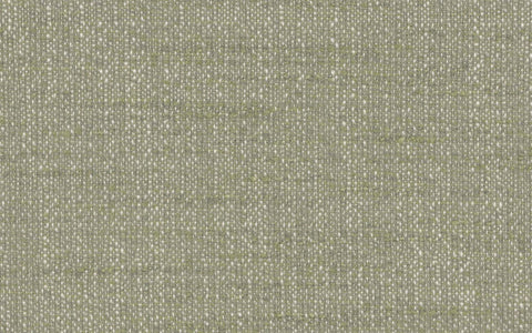 CASCADIA AVENUE :: Madrona