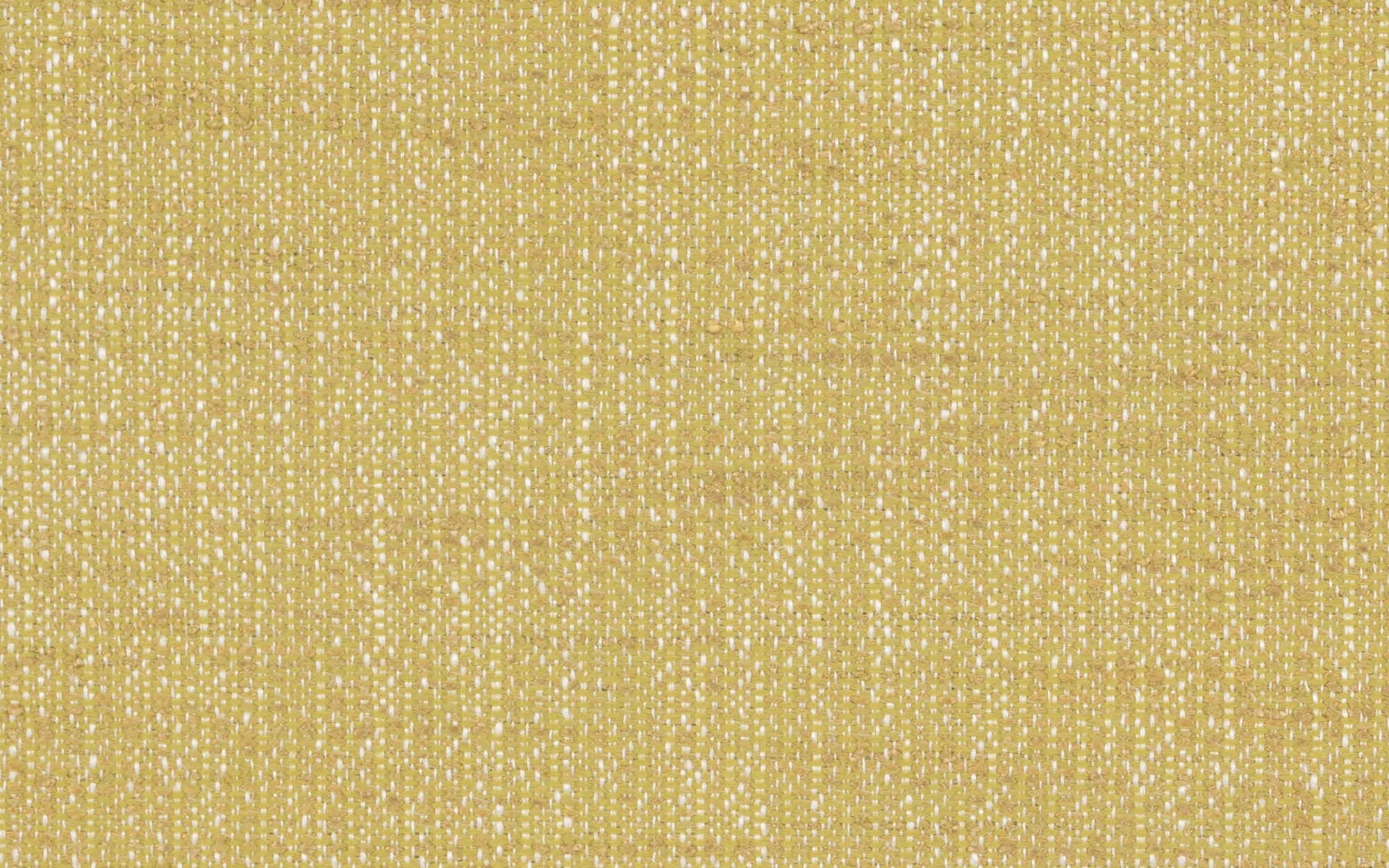 CASCADIA AVENUE :: Willow