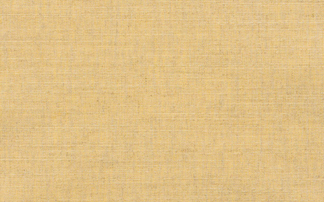 COUTURE LINEN CANVAS N.7 :: Cashew
