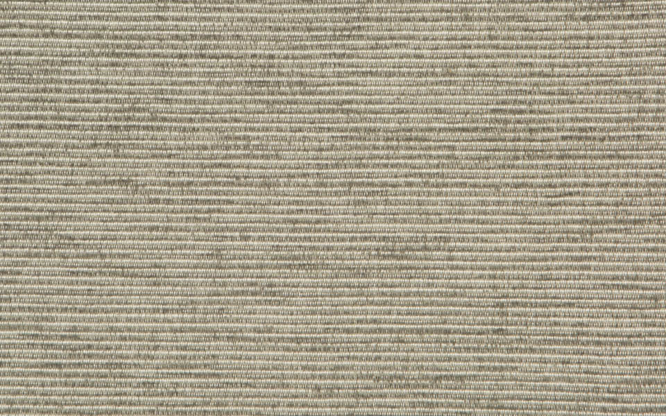 ANCONA :: Platinum
