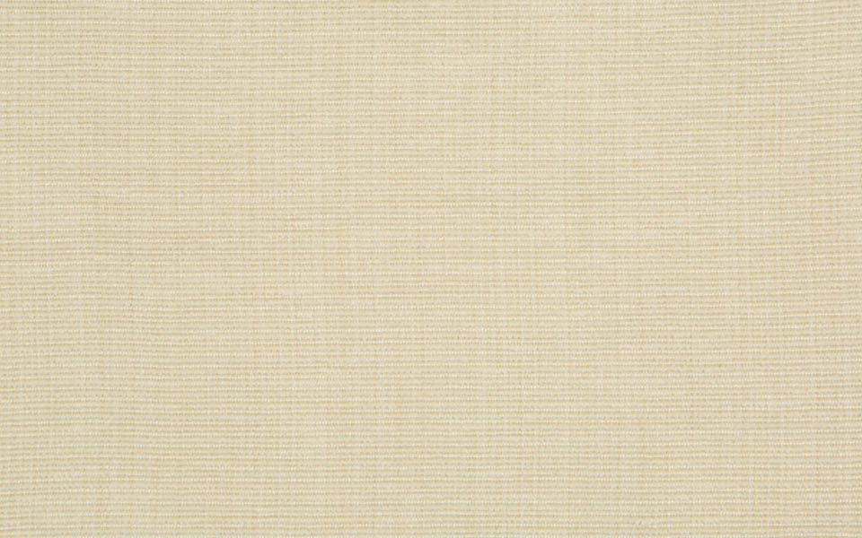 ANCONA :: Ivory