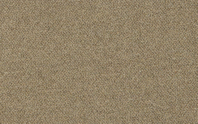 COUTURE BOUCLE N.2 :: Taupe