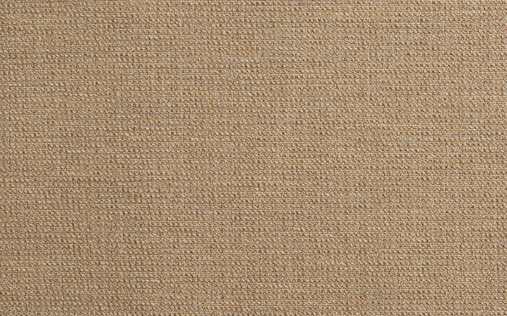 BARI :: Mocha