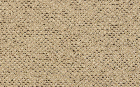 COUTURE BOUCLE N.4 :: Almond