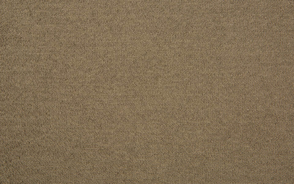 COUTURE BOUCLE N.16 :: Deep Taupe