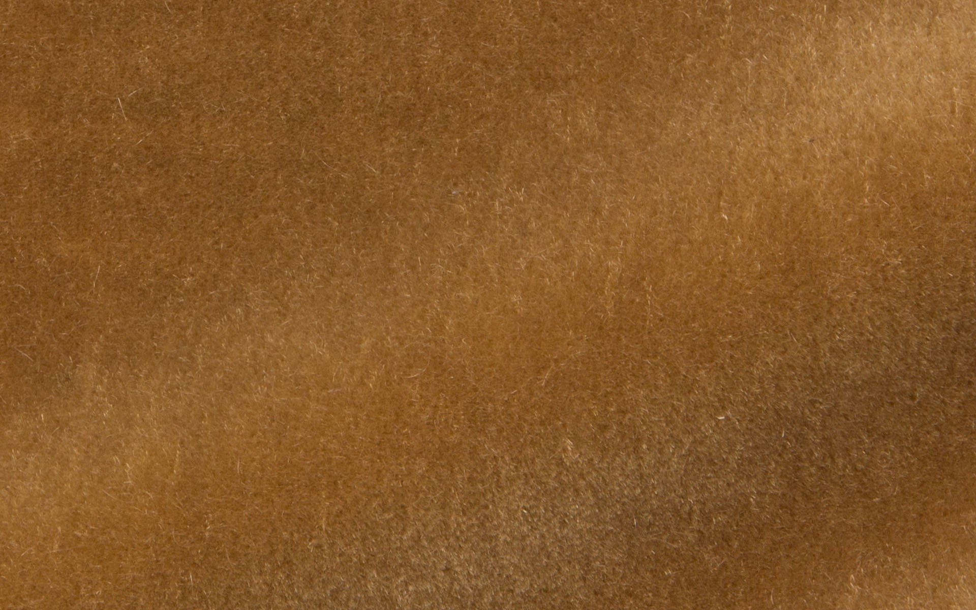 GLANT MOHAIR :: Reed
