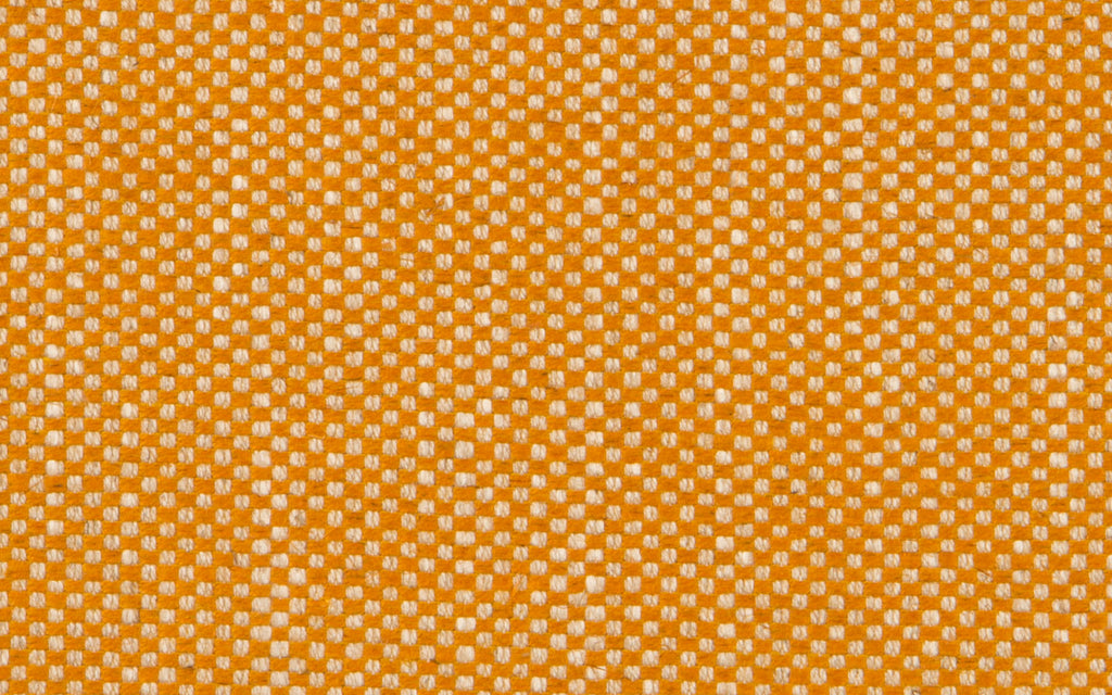 PALM BEACH :: Apricot
